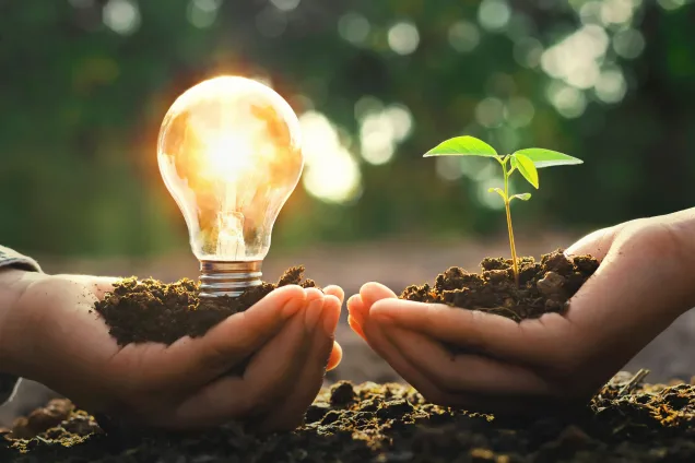 hand holding lightbulb with small tree and sunshine. concept energy power in nature